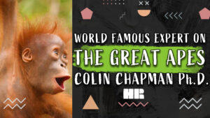 Colin Chapman Ph.D. | The Great Apes | World Famous Biologist #139 HR