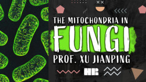 Prof. Xu Jianping | The Mitochondria in Fungi | World Famous Biologist #143  HR