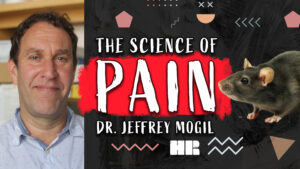 Dr. Jeffrey Mogil | The Science Of Pain | Neuroscience #161 HR
